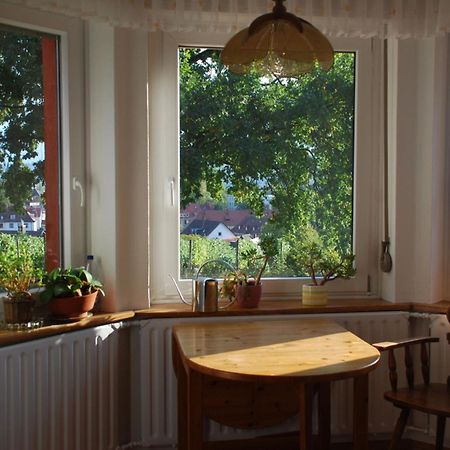 Appartement Rotes Haus Ueber Den Weinbergen à Constance Extérieur photo